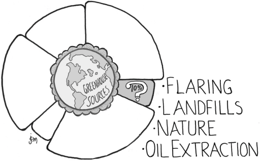 Pie Chart 6