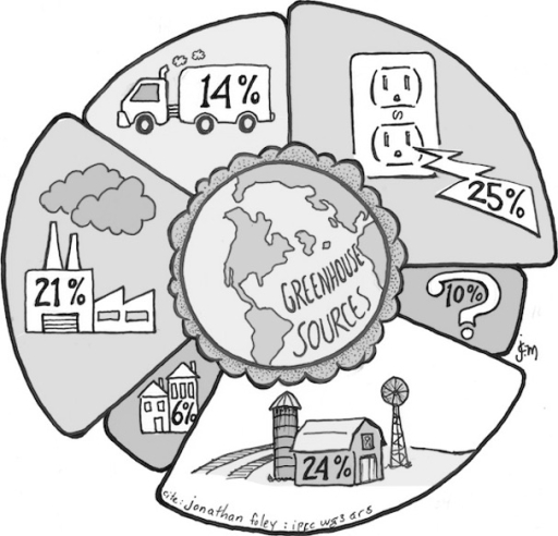 Pie Chart Full