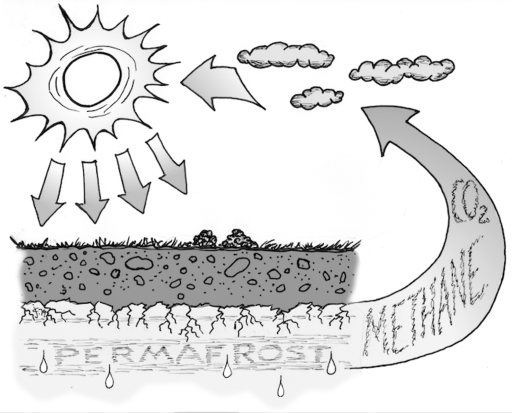 Permafrost Cycle