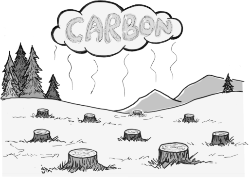 Carbon Forest